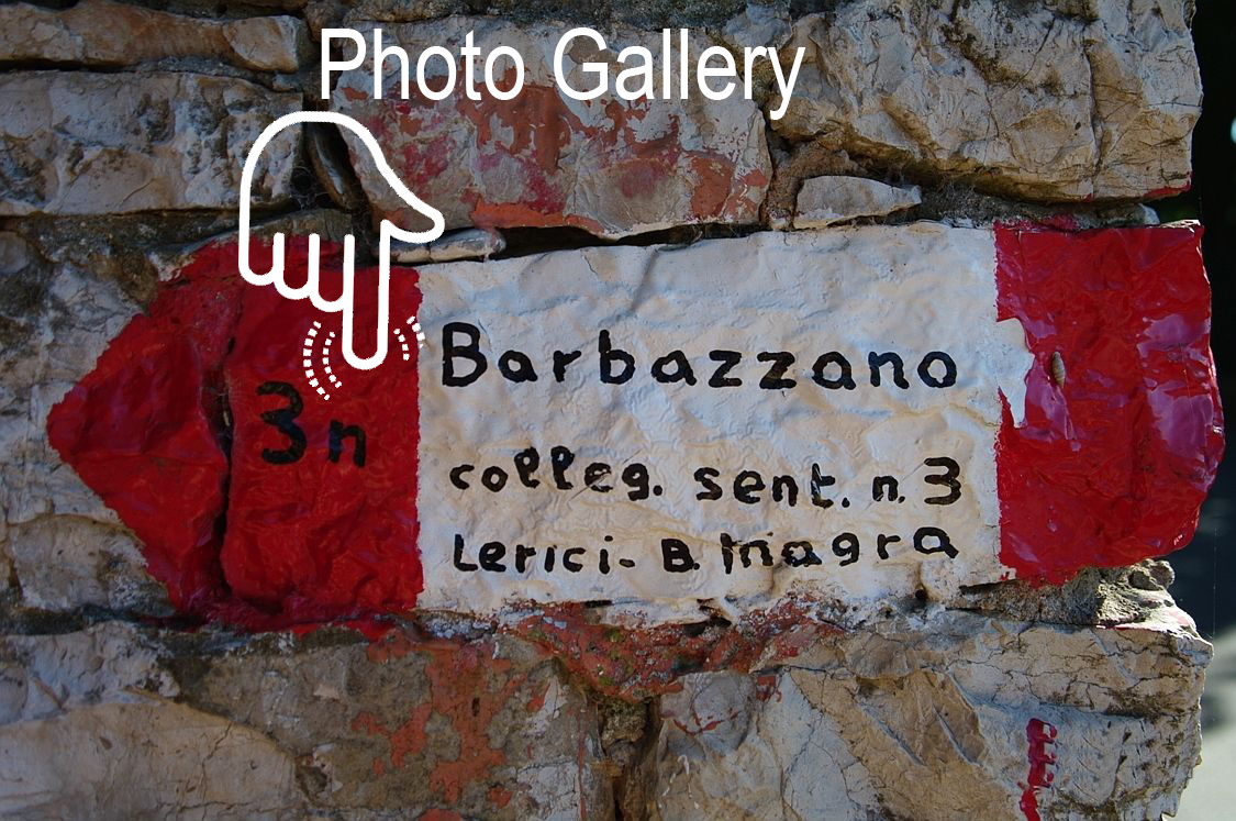 Gallery BARBAZZANO