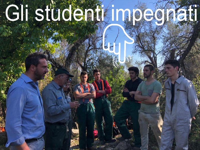 Studenti